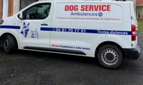 Taxi animalier longue distance transport d animaux chien chat nac