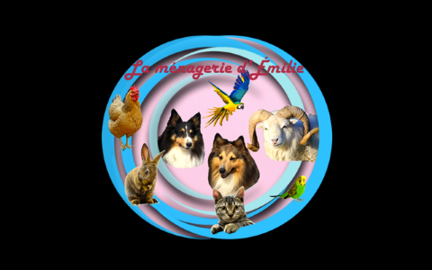 45 Animal Taxi & Pet Transport - Orleans
