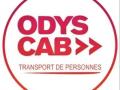 Taxi animalier paris transport d animaux chien chat nac ile de france transporteur animalier 75