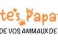Taxi animalier rennes transport d animaux fougeres taxi canin felin nac ille et vilaine 37