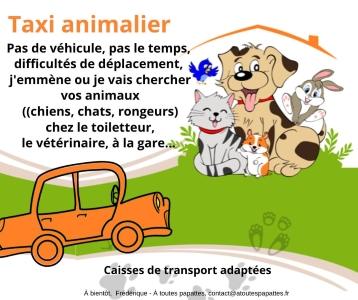 Taxi animalier rennes transport d animaux fougeres taxi pour chien chat nac ille et vilaine