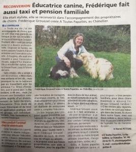 Taxi animalier rennes transport d animaux fougeres taxi pour chien chat nac ille et vilaine 35