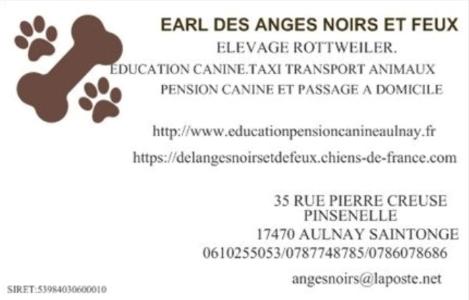 Taxi animalier transport d animaux chat chien nac aulnay saintes rochefort charente maritime 17 france