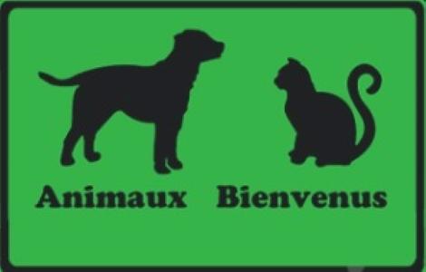 Taxi animalier transport d animaux chat chien nac lyon 69 rhone paris 75