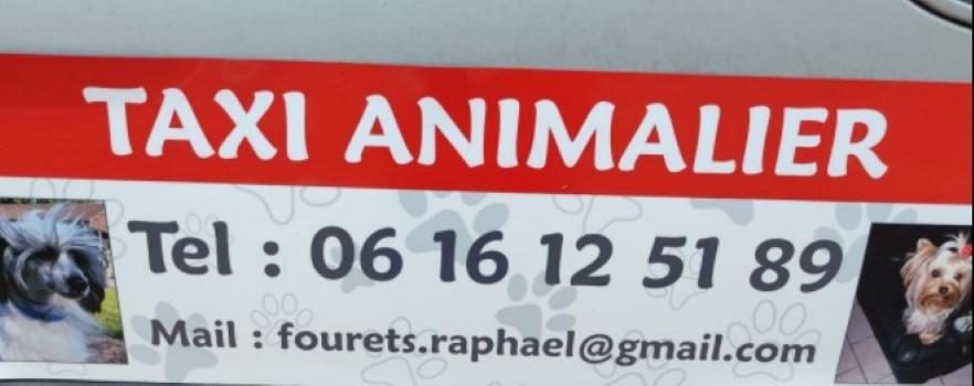 75 Taxi animalier & Transport d'animaux - Paris & France