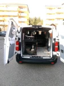 Taxi animalier transport d animaux chien chat nac ambulance animaliere aix en provence aubagne bouches du rhone 14