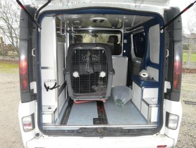 Taxi animalier transport d animaux chien chat nac ambulancier animalier nantes 44 loire atlantique