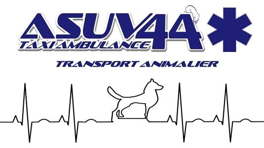 Taxi animalier transport d animaux chien chat nac ambulancier animalier nantes loire atlantique 44