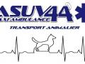 Taxi animalier transport d animaux chien chat nac ambulancier animalier nantes loire atlantique 44