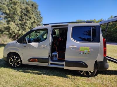 Taxi animalier transport d animaux chien chat nac avignon carpentras vaucluse 84 1