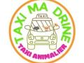 Taxi animalier transport d animaux chien chat nac avignon carpentras vaucluse 84 