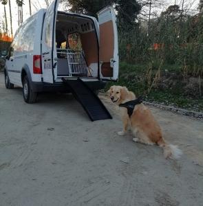 Taxi animalier transport d animaux chien chat nac carros saint martin du var alpes maritimes 06