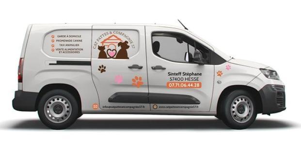 Taxi animalier transport d animaux chien chat nac france dom tom belgique