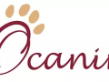 Taxi animalier transport d animaux chien chat nac frejus saint raphel var 83 