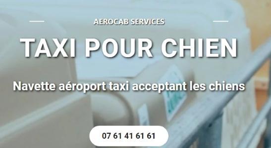 Taxi animalier transport d animaux chien chat nac transport animalier paris