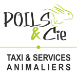Taxi animalier transport d animaux chien chat nac transporteur animalier longue distance cergy pontoise val d oise 95 1