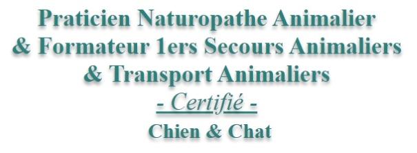 Taxi animalier transport d animaux chien chat nac transporteur animalier longue distance toulouse 31 haute garonne