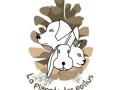 Taxi animalier transport d animaux chien chat nac transporteur animalier mont de marsan dax mimizan biscarrosse landes