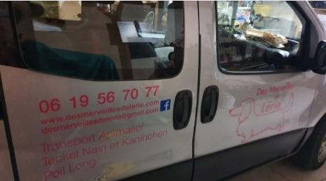 Taxi animalier transport d animaux chien chat nac transporteur animalier nice cannes monaco alpes maritimes