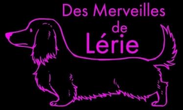 06 Animal taxi & Animal transport - Cannes Mandelieu-la-Napoule