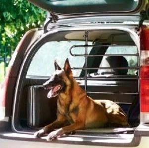 Transport animalier chien chat nac taxi animalier longue distance avion train france international