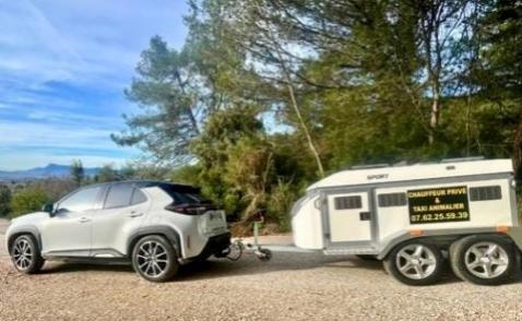 Animal taxi, Animal transport dog cat