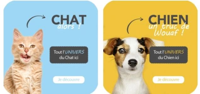Ultra premium direct vente croquettes chiens chats animalerie en ligne pas cher france