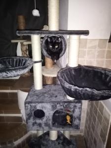 Sale of animal accessories, cage, transport boxes, aquariums