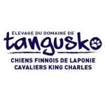 Vente chien cavalier king charles nantes achat chiot cavalier king charles saint nazaire loire atlantique 44