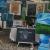Vente peinture animaliere achat tableau animalier portrait d animaux a vendre artiste animalier peintre animalier