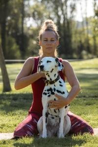 Yoga pour chien paris 75 dog yoga ile de france